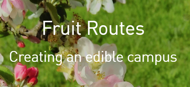 Fruit Routes logo