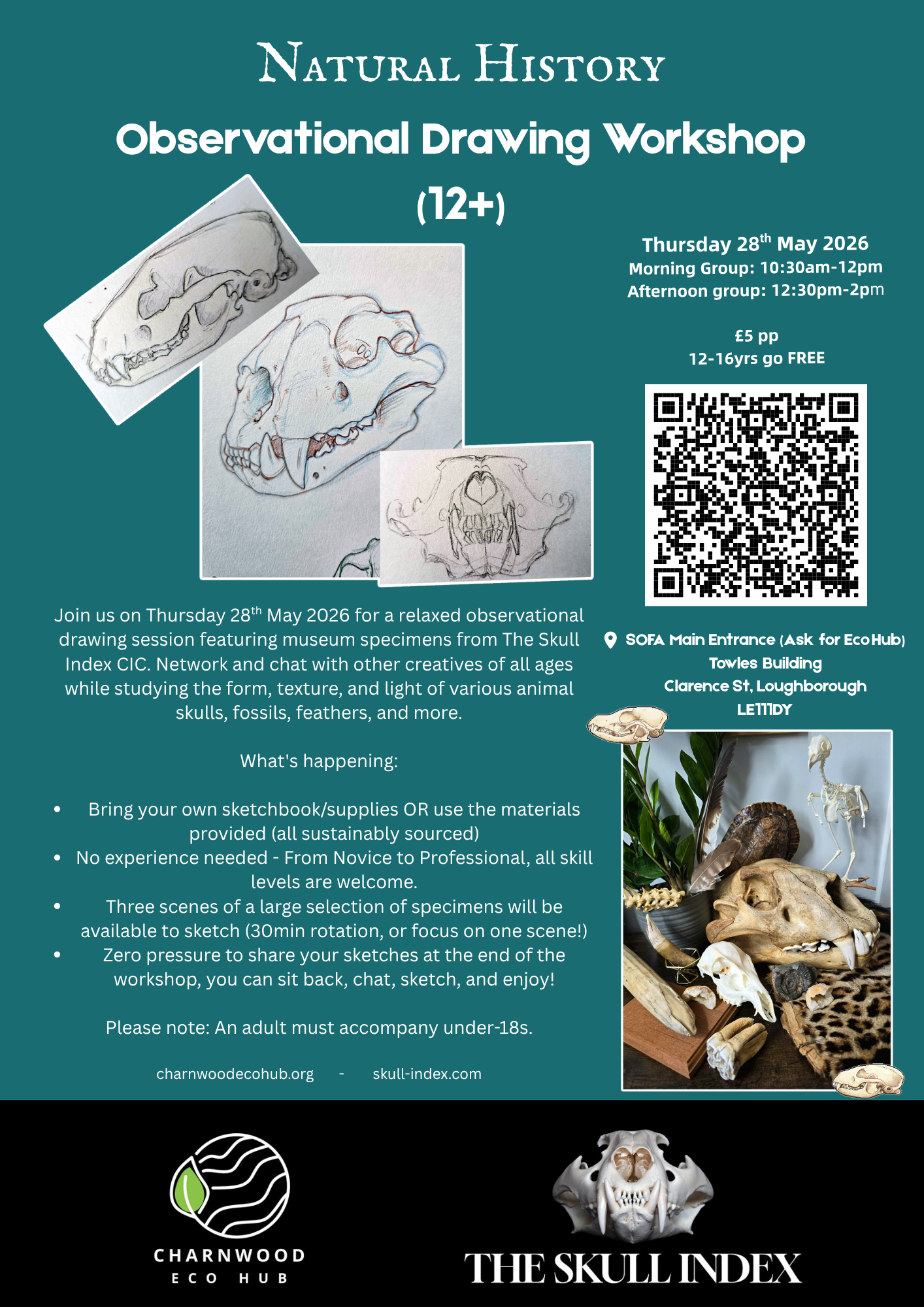 Natural History Observational Drawing poster